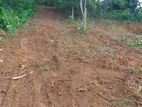 Land for Sale Ambepussa Warakapola