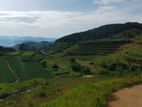 Land for Sale Ambewela