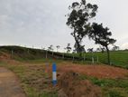 Land for Sale Ambewela