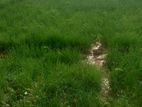 Land for Sale Ampanai – Keerimalai Road