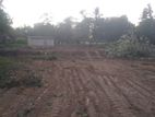 Land For Sale Ampara