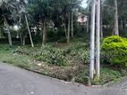 Land for Sale Ampitiya