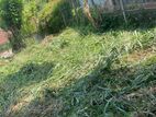 Land for Sale Ampitiya