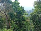 Land for Sale Ampitiya