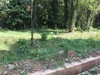 Land for Sale Amunugama