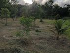Land For Sale - Anamaduwa