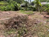 Land for sale Andiambalama