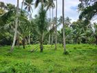 Land for Sale Andiambalama, Katunayake