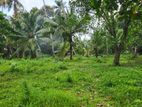 Land for Sale- Andiambalama, Katunayake