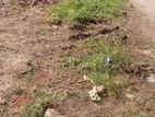Land for Sale Angoda