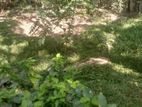 Land for Sale Angoda