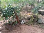 Land for Sale Angoda