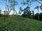 Land for Sale Angulugaha