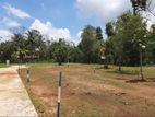 Land for Sale අනුරාධපුර