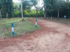 Land for Sale අනුරාධපුර