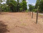 Land for Sale අනුරාධපුර