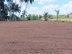 Land for sale Anuradapura