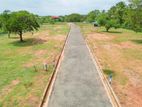 Land for Sale Anuradapura