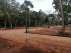 Land for Sale Anuradapura