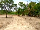 Land for sale Anuradapura
