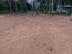 Land for Sale Anuradapura