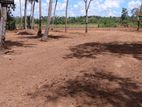Land for Sale Anuradapura