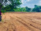 Land for Sale Anuradapura
