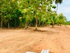 Land for sale Anuradapura