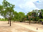 Land for Sale Anuradapura