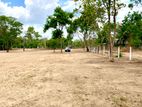 Land for Sale Anuradapura