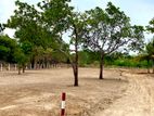 Land for Sale Anuradapura