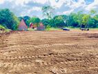 Land for Sale Anuradapura