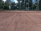 Land for Sale Anuradapura