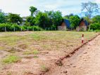 Land for Sale Anuradapura