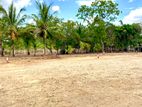 Land for Sale Anuradapura