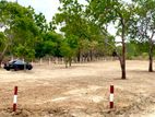 Land for Sale Anuradapura