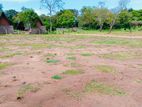 Land for Sale Anuradapura