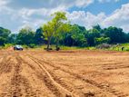 Land for Sale Anuradapura