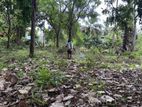 Land for Sale Anuradhapura City Limits