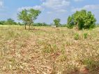 Land for Sale Anuradhapura - Cl606