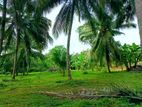 Land for sale anuradhapura.