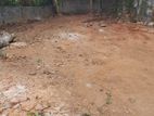 Land for Sale - Anuradhapura