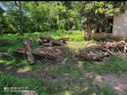 Land for Sale Anuradhapura