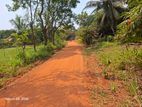 Land for sale anuradhapura.