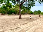 Land for Sale Anuradhapura