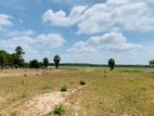 Land for Sale Anuradhapura