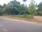 Land for Sale Anuradhapura