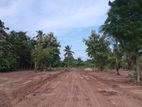 Land for Sale Anuradhapura