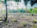 Land For Sale Anuradhapura Rd Abagaswewa