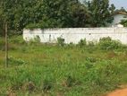 Land for Sale Anurdhapura